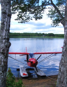Possible Cover Image for Seaplane Book